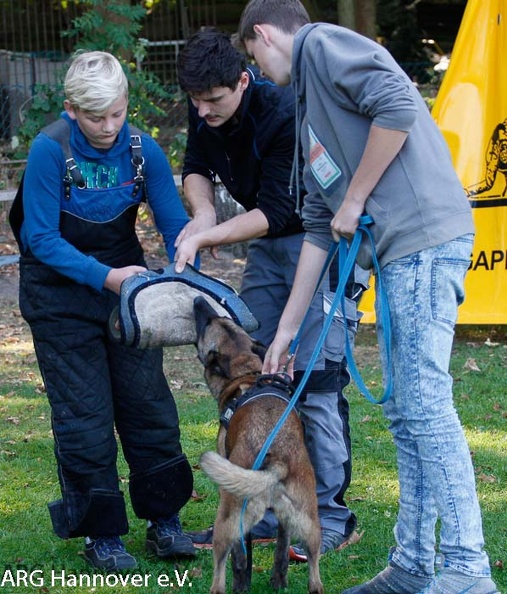 ARG_Jugend2016 (57 von 80).jpg
